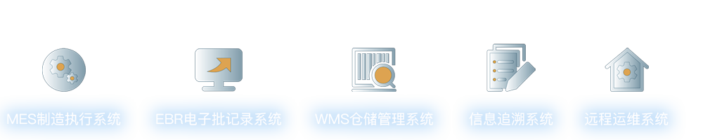 信息化系统